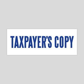 TaxPayer's Copy