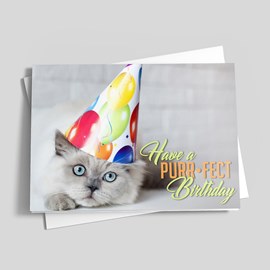 Purr•Fect Birthday