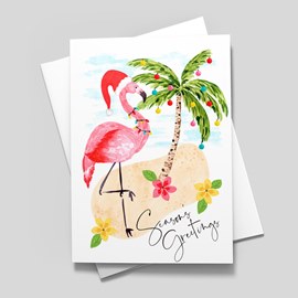 December Flamingos