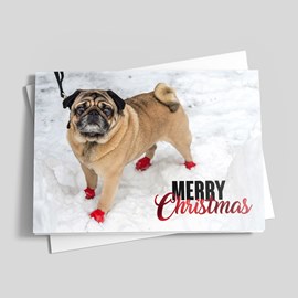 Merry Pugmas