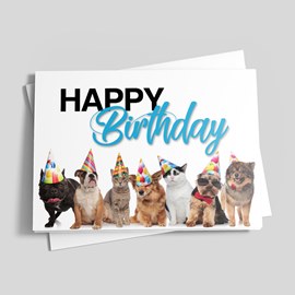 Party Animals Birthday Card